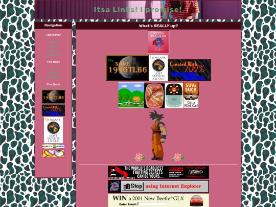 links screenshot