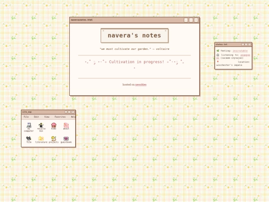 projects screenshot