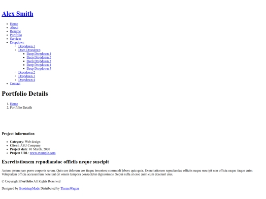 portfolio/portfolio-details screenshot