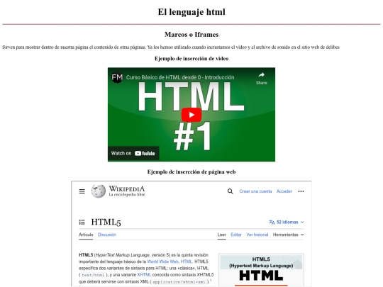 página con iframe screenshot