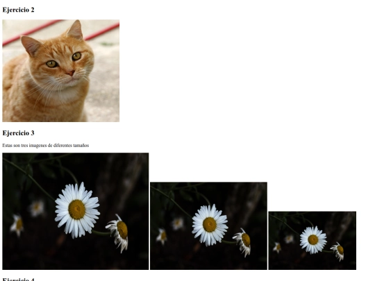 image screenshot