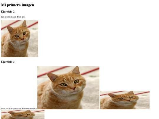 imagen screenshot