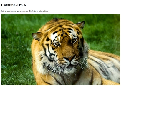 imagenes screenshot