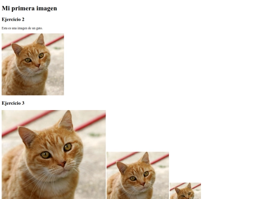 img screenshot