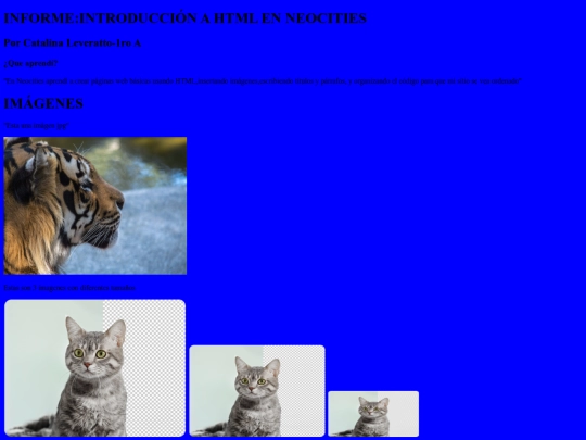 informe screenshot