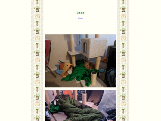cats screenshot