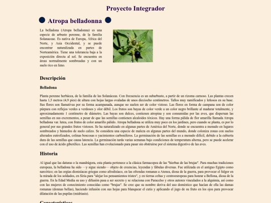 Ejercicio14-Programación screenshot