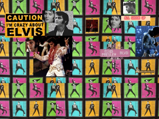 elvis screenshot
