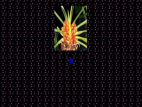 klikk screenshot