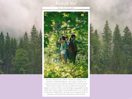 AboutMeBlog screenshot