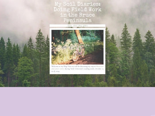 BlogHome screenshot