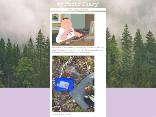 PhotoDiaryBlog screenshot