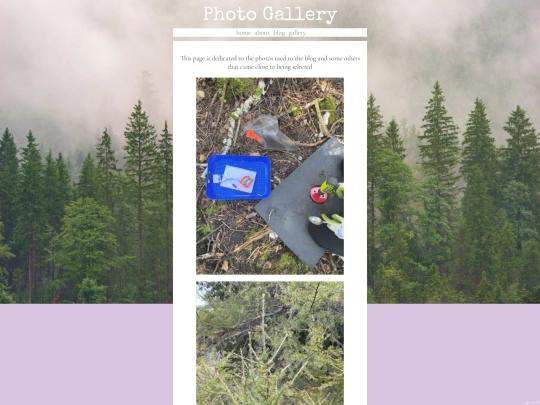 photogallery screenshot
