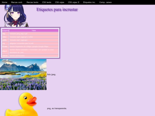 p06_etiquetes_incrustar_contenido screenshot