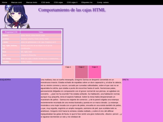 p07_comportament_caixes screenshot