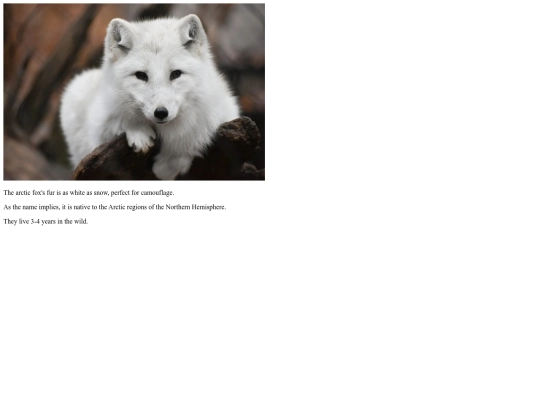 Arcticfox screenshot