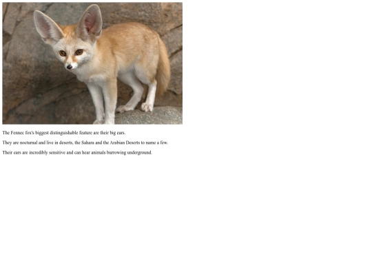 Fennecfox screenshot