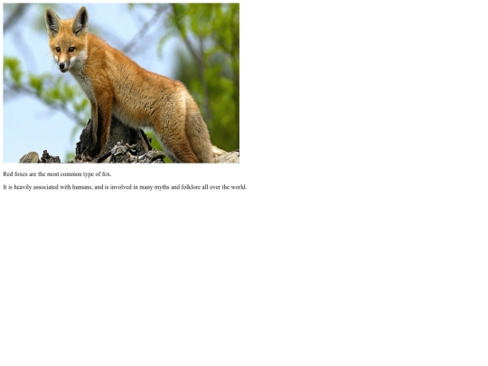 Redfox screenshot