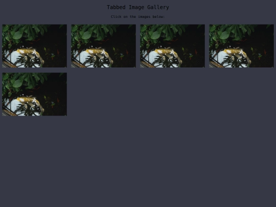 gallery1 screenshot