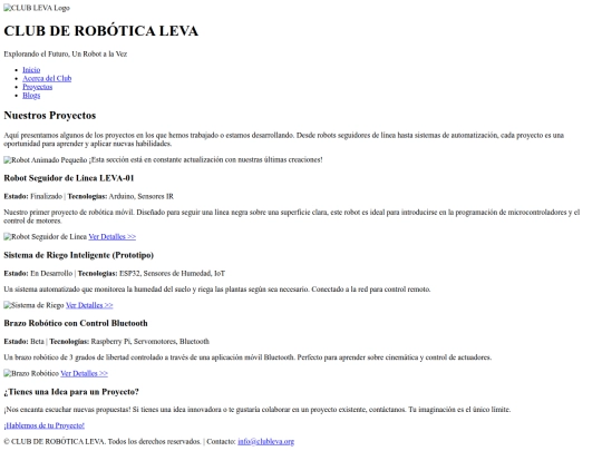 proyectos screenshot