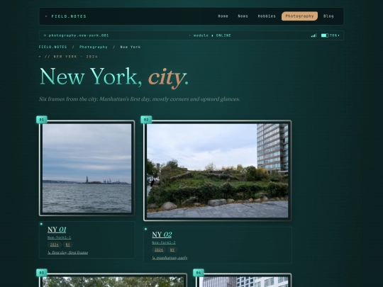 photography/new-york screenshot