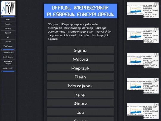 slownik screenshot