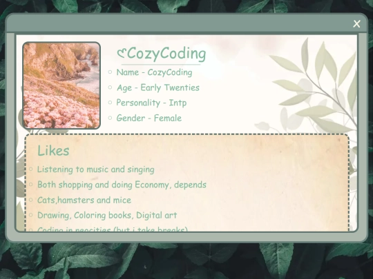 AboutMe screenshot