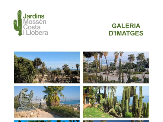 galeria screenshot