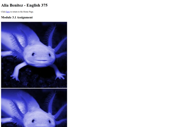 modules/module3/module3-1/module3-1 screenshot