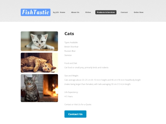 pets-cat screenshot