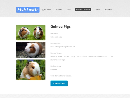 pets-guineapig screenshot