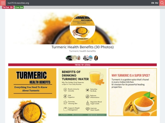 artmuseum/turmeric+health+benefits screenshot