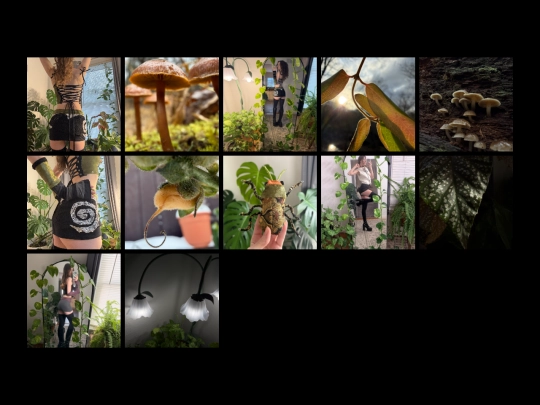Photography screenshot