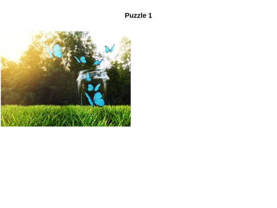 puzzle/puzzle screenshot