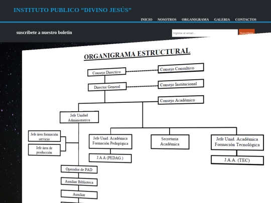 organigrama screenshot