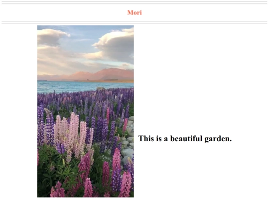 mori screenshot