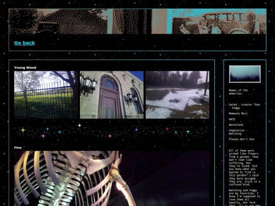 photo/memories screenshot