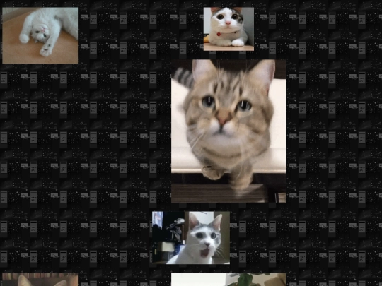 cats screenshot