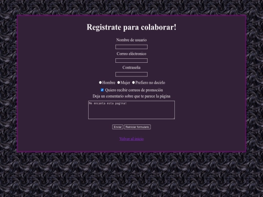 paginas/formulario screenshot