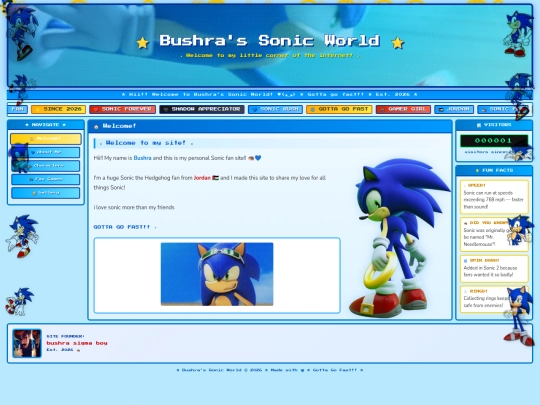 sonic  sigma boy  screenshot