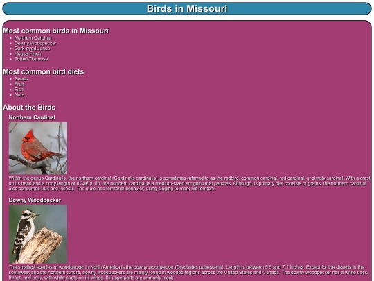 birds screenshot