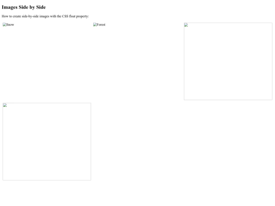 image screenshot