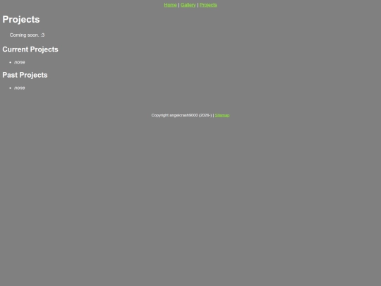 Projects screenshot