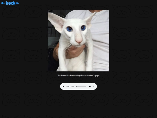 kittycatmeow screenshot