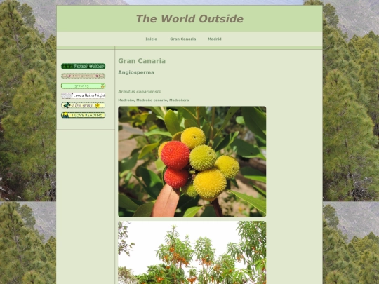 gran_canaria_angiosperma screenshot