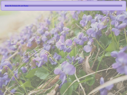 art_gallery_directory screenshot