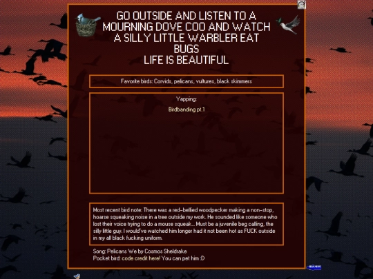 BlogEntries/Bird/BirdsHome screenshot