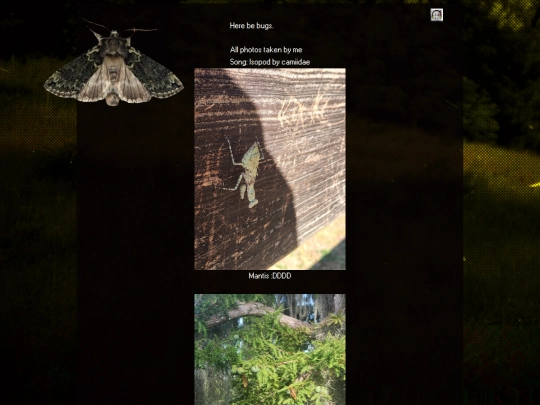 Bug screenshot