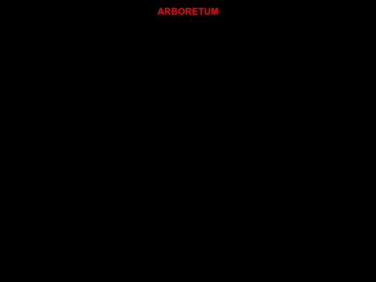 arborhead screenshot