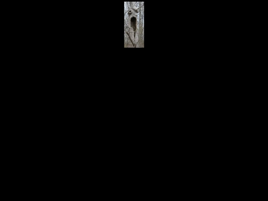 area10 screenshot
